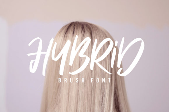 Hybrid Typeface for Editorial Design
