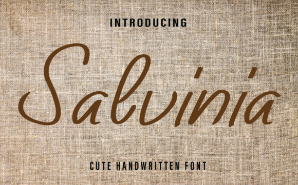 Salvinia Font Review for Digital Campaigns
